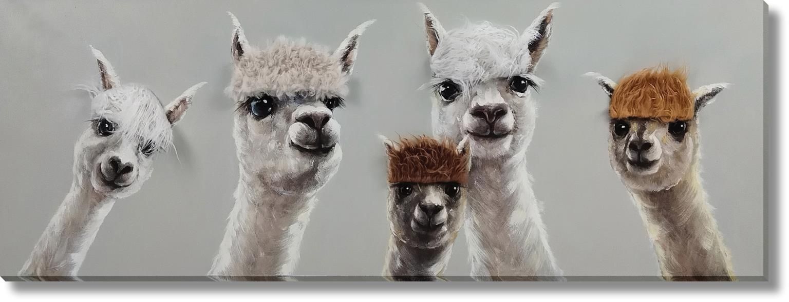 Whimsical Llama Lineup - 20" x 60" Framed Wall Art Classy Living
