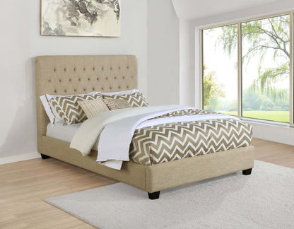 Chloe - Upholstered Panel Bed CoasterEssence