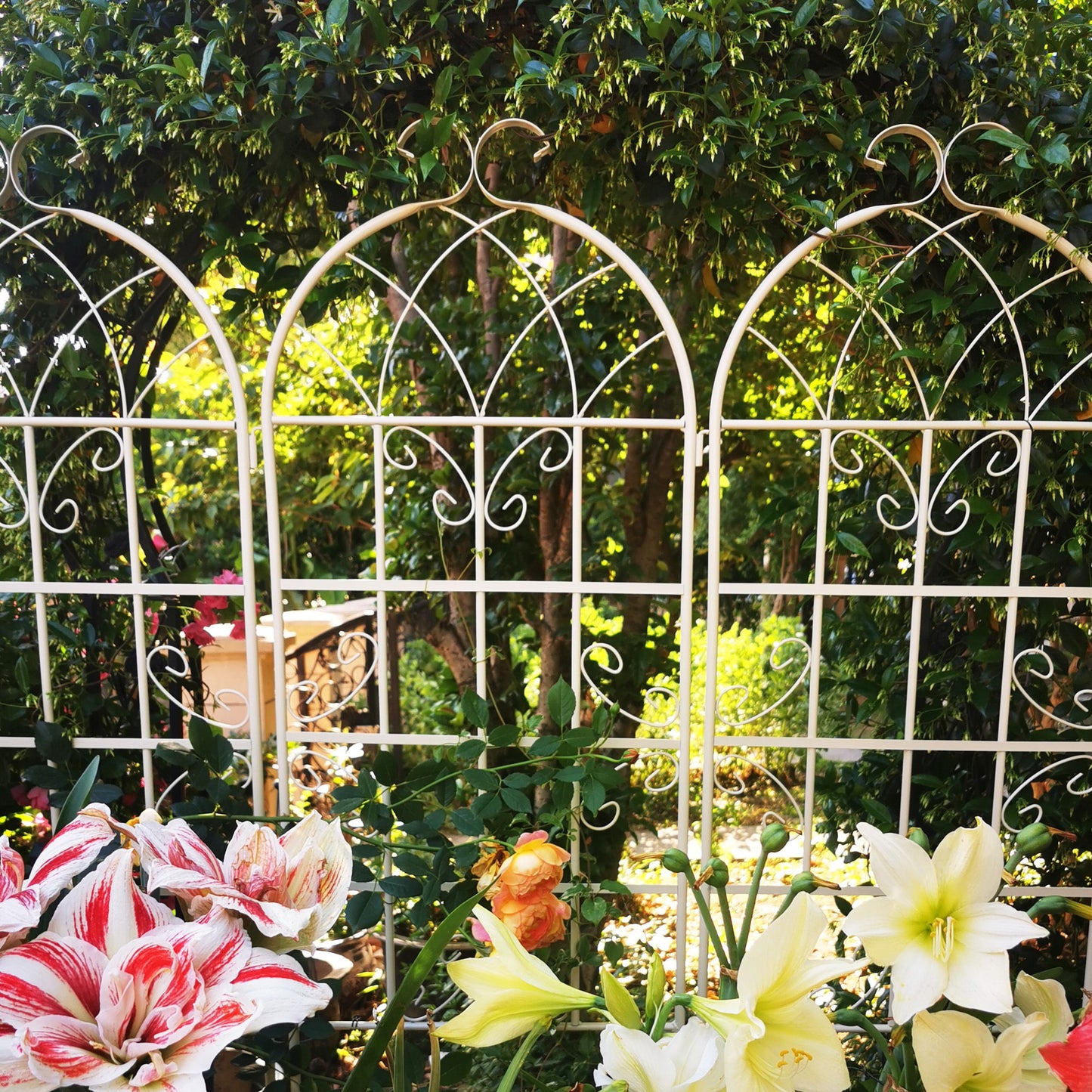 Metal Garden Rustproof Trellis For Climbing Plants Outdoor Flower Support Daily Nest