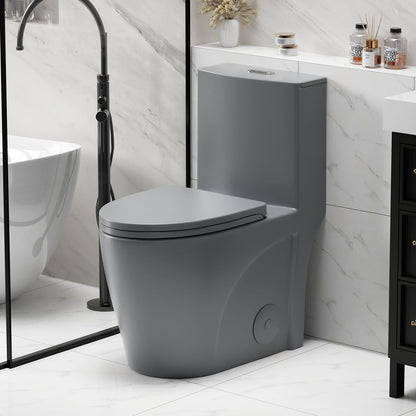 1 Piece Toilet With Tornado Flush, Dual Flush, And ADA Height Comfort Chair Daily Nest