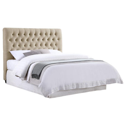 Chloe - Upholstered Panel Headboard CoasterEssence