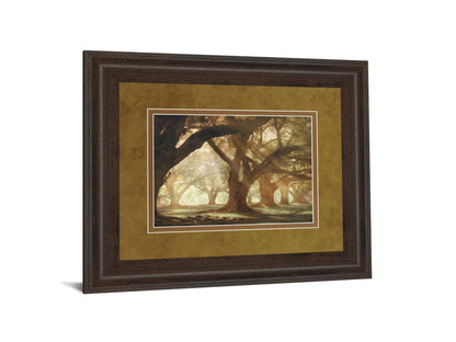 Oak Alley Morning Light By William Guion - Framed Print Wall Art - Dark Brown