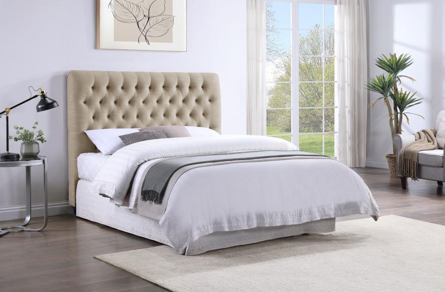 Chloe - Upholstered Panel Headboard CoasterEssence