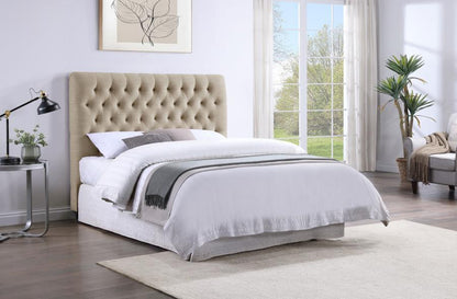 Chloe - Upholstered Panel Headboard CoasterEssence