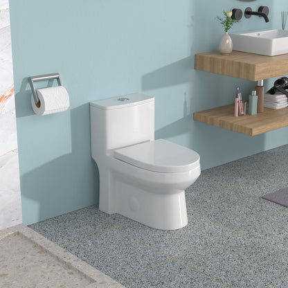 1 Piece Toilet For Bathroom, Dual Flush 1.1 / 1.6 Gpf, Soft Closing Seat - White Daily Nest