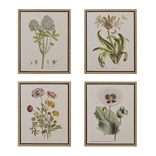 Herbal Botany - Framed Linen Canvas (Set of 4) - Green Madison Park