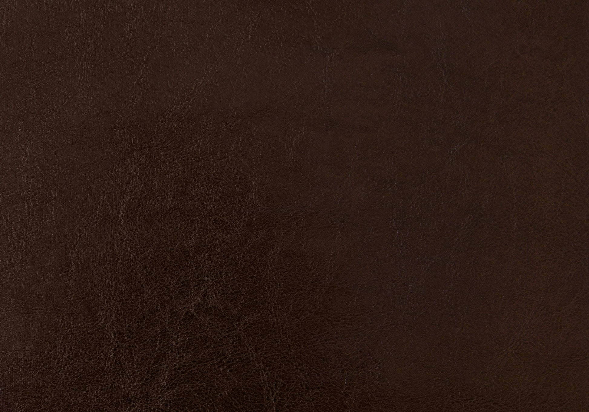 Bed Upholstered Leather Look 8th Street