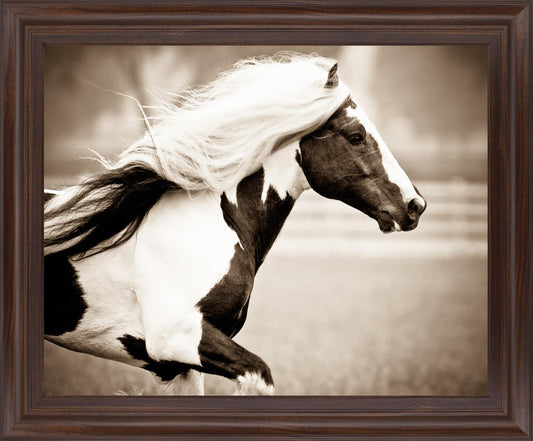 Galloping Spirit - 28" x 34" Framed Wall Art Classy Art