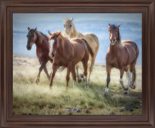 Wild Meadow Gallop - 28" x 34" Framed Wall Art Classy Art