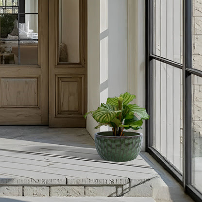 3 Pieces Ceramic Flowerpot Daily Nest